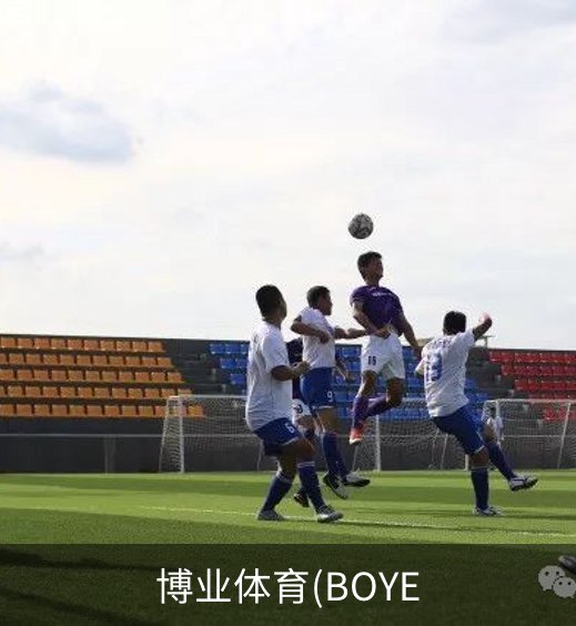 博业体育(BOYE介绍